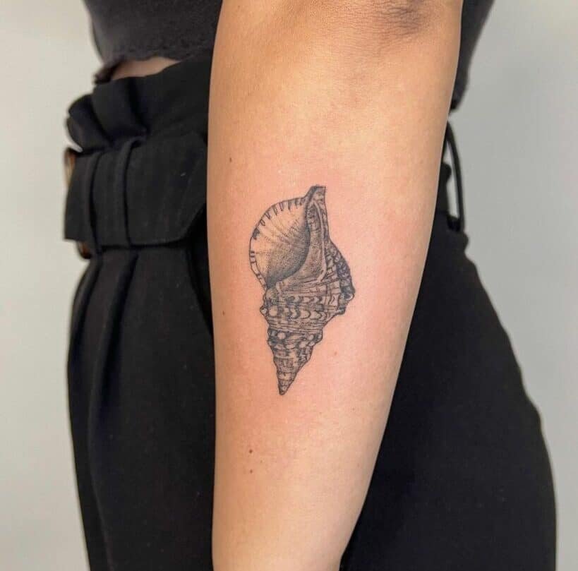 You Won’t Believe These 25 Shell Tattoo Ideas — The Meanings Are Even More Stunning